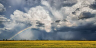 Regenwolken und Gewitterwolken über einem Weizenfeld